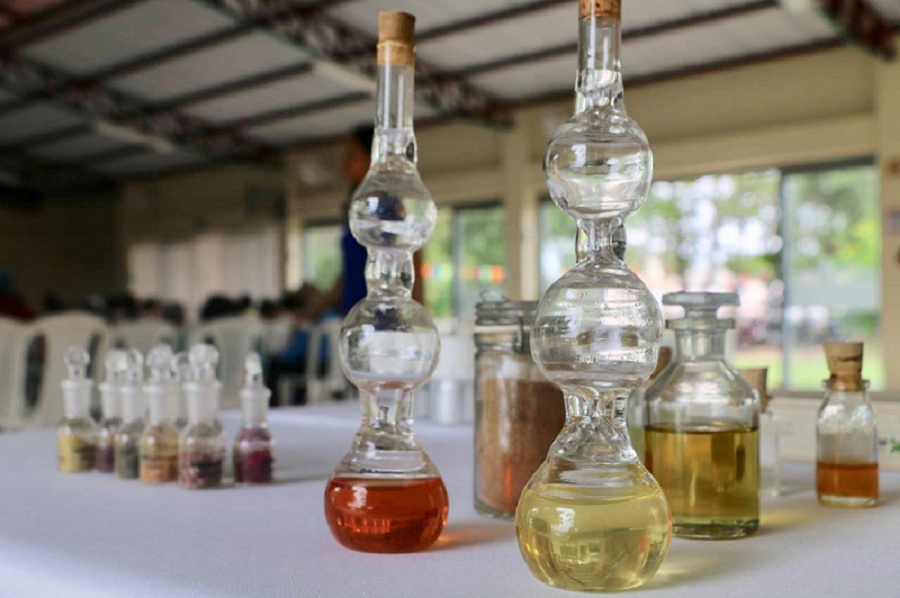 Proyecto de articulación: Desarrollo de la agroindustria de plantas aromáticas y sus derivados como agente del progreso tecnológico, económico y social del campo santandereano